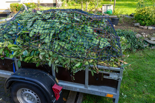 Best Shed Removal  in Ruston, WA